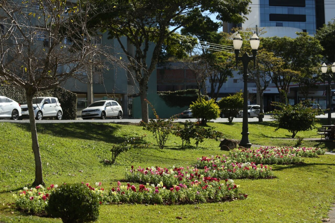 Câmara aprova projeto das Florestas de Bolso em Ponta Grossa