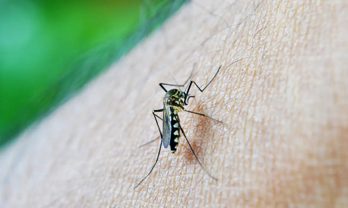 Fundação Municipal de Saúde confirma a 11ª morte por Dengue em PG