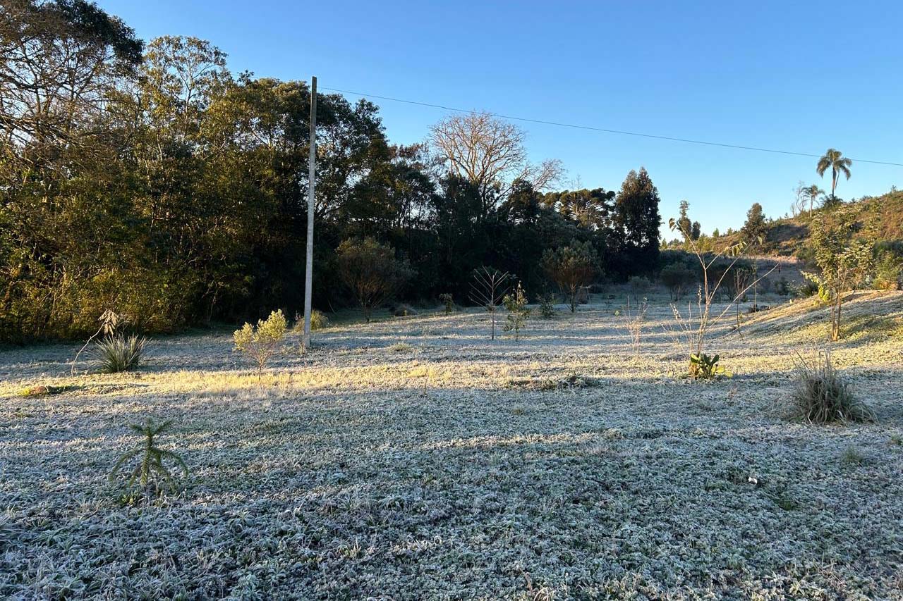 15 cidades do Paraná registraram temperatura abaixo de zero: 13 de agosto foi o dia mais frio do ano