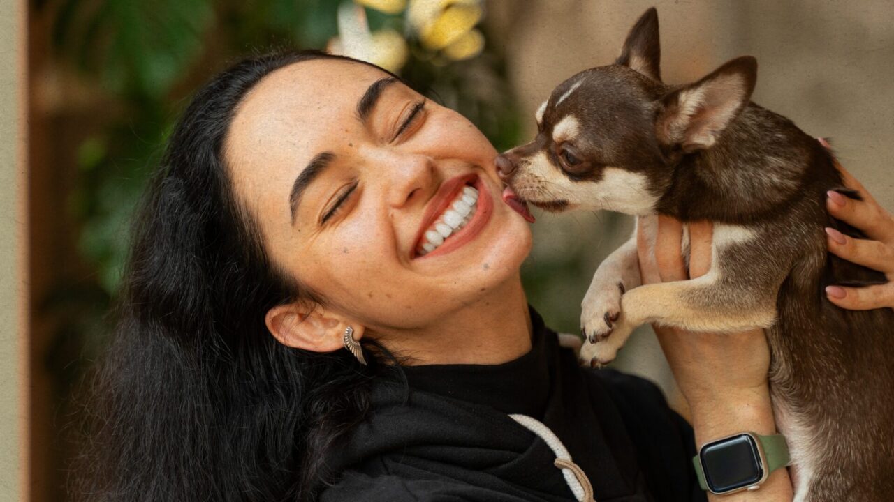 Assistência Pet: o melhor cuidado para o seu melhor amigo.