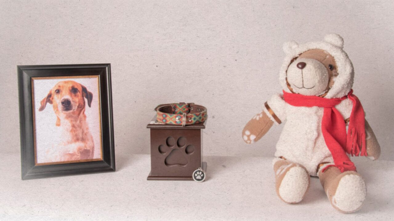 Por que optar pela cremação pet?