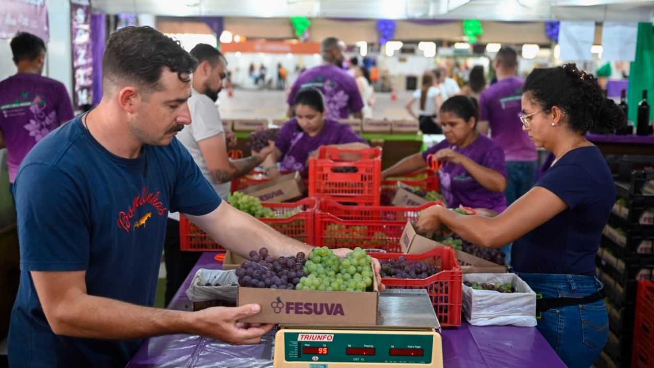 Caminhada da Uva acontece neste domingo (25) com percurso em meio à natureza