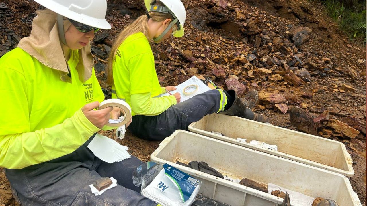 Fósseis da pré-história de Ponta Grossa são exibidos em palestra no Museu da UEPG
