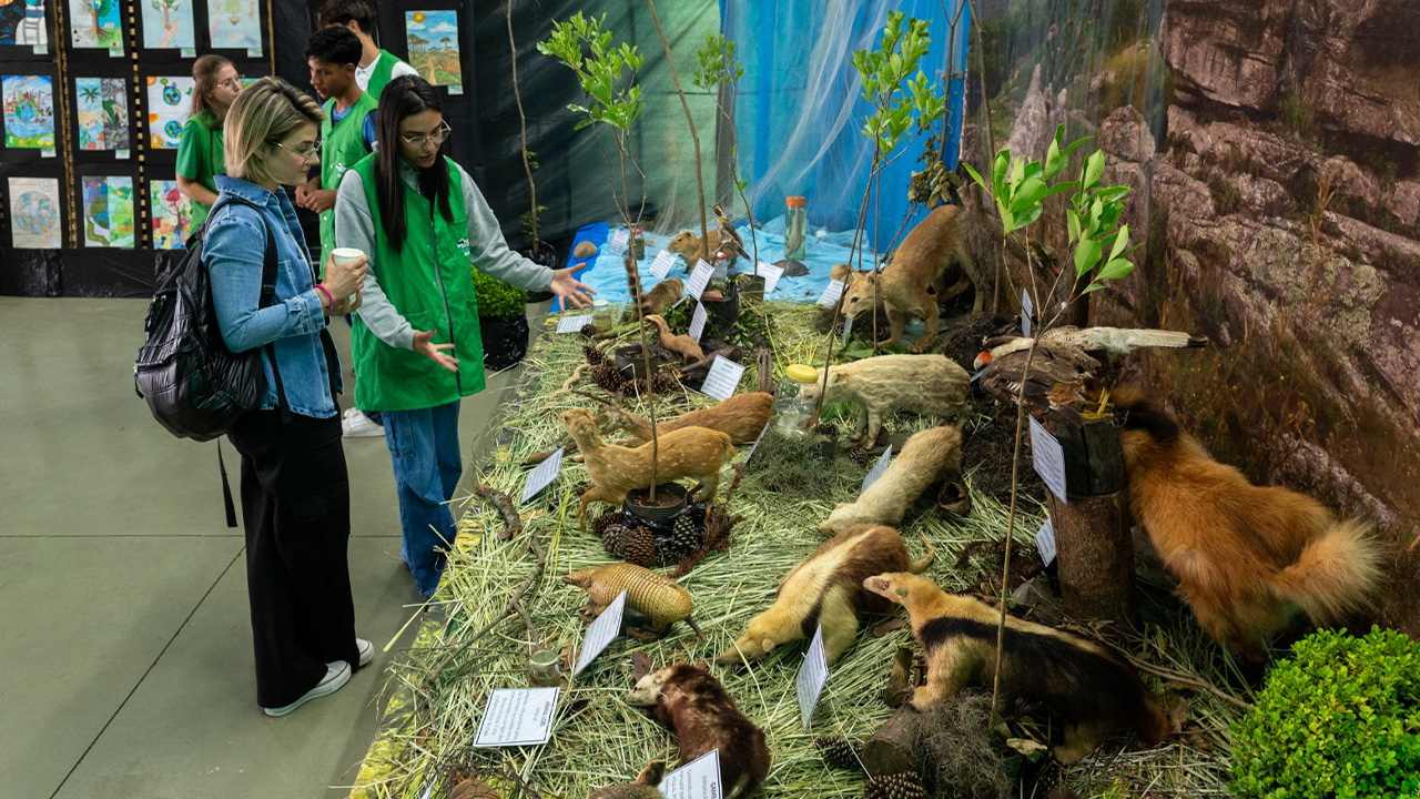 Lago de Olarias recebe exposição gratuita sobre educação ambiental