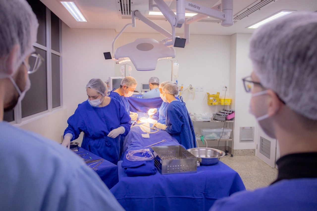 Paraná se consolida como Referência Nacional em Doação e Transplante de Órgãos