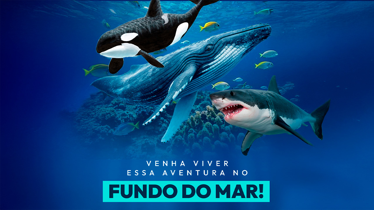 Shopping Palladium Ponta Grossa recebe experiência imersiva que leva visitantes ao fundo do mar