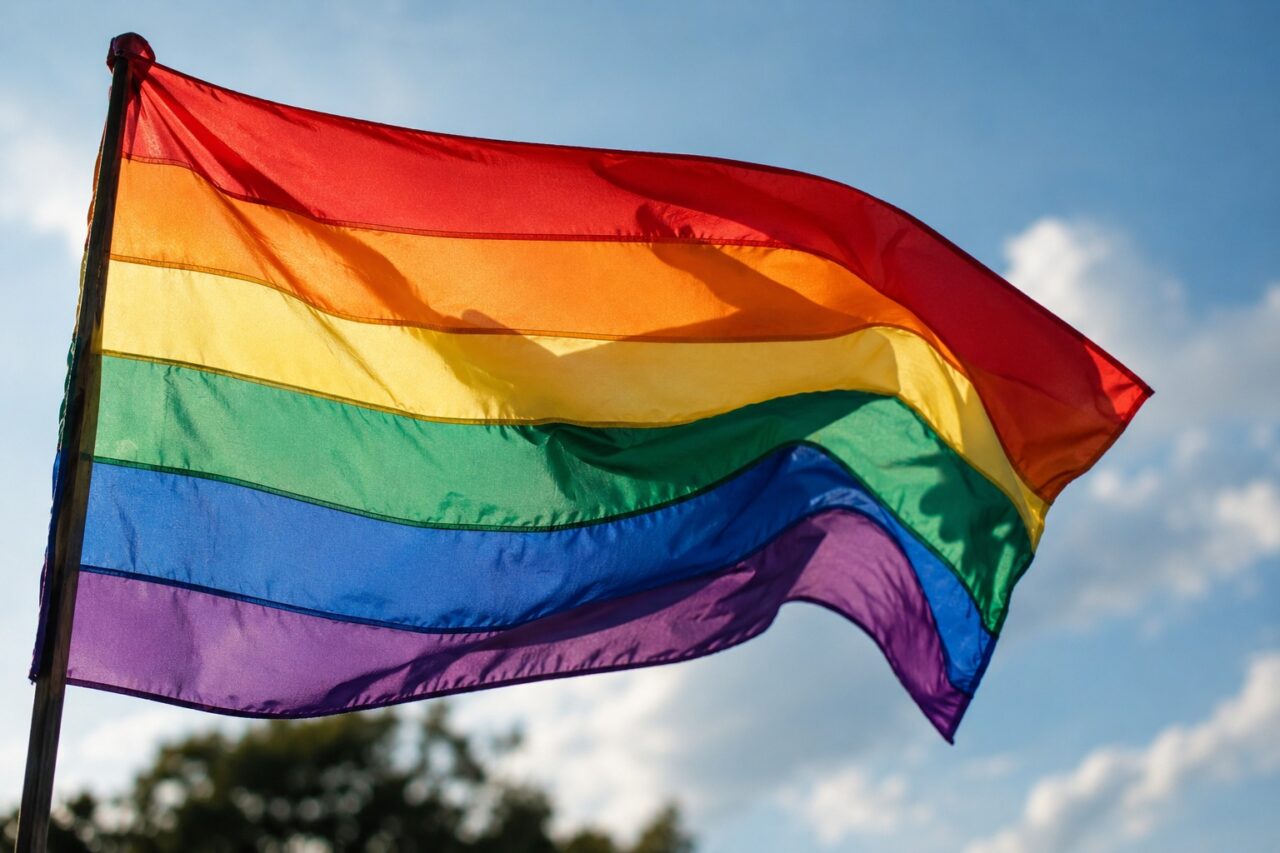 Festival LGBTQIAPN+ chega a PG para celebrar diversidade, cultura e inclusão