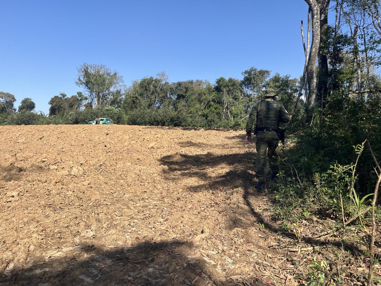Operação flagra desmatamento ilegal e multa proprietário em R$ 7 mil em Ipiranga