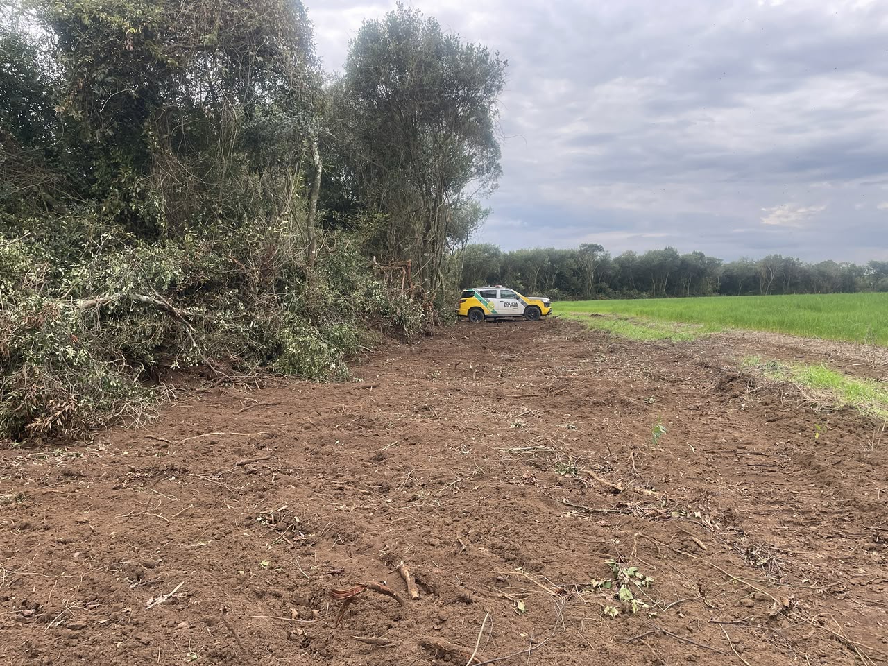 Polícia Ambiental multa responsável em R$ 7 mil por desmatamento irregular em Pinhão – PR
