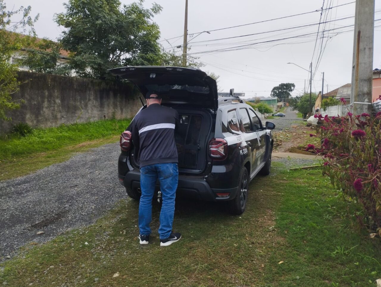 Nucria de Ponta Grossa cumpre mandado de prisão preventiva por estupro de vulnerável e exploração sexual