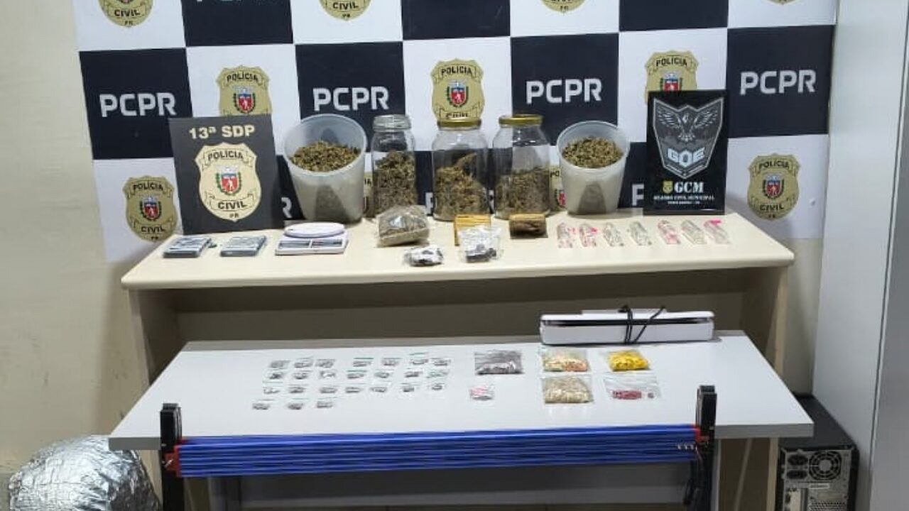 Ação conjunta apreende variedade de entorpecentes e estufa para cultivo de maconha em PG