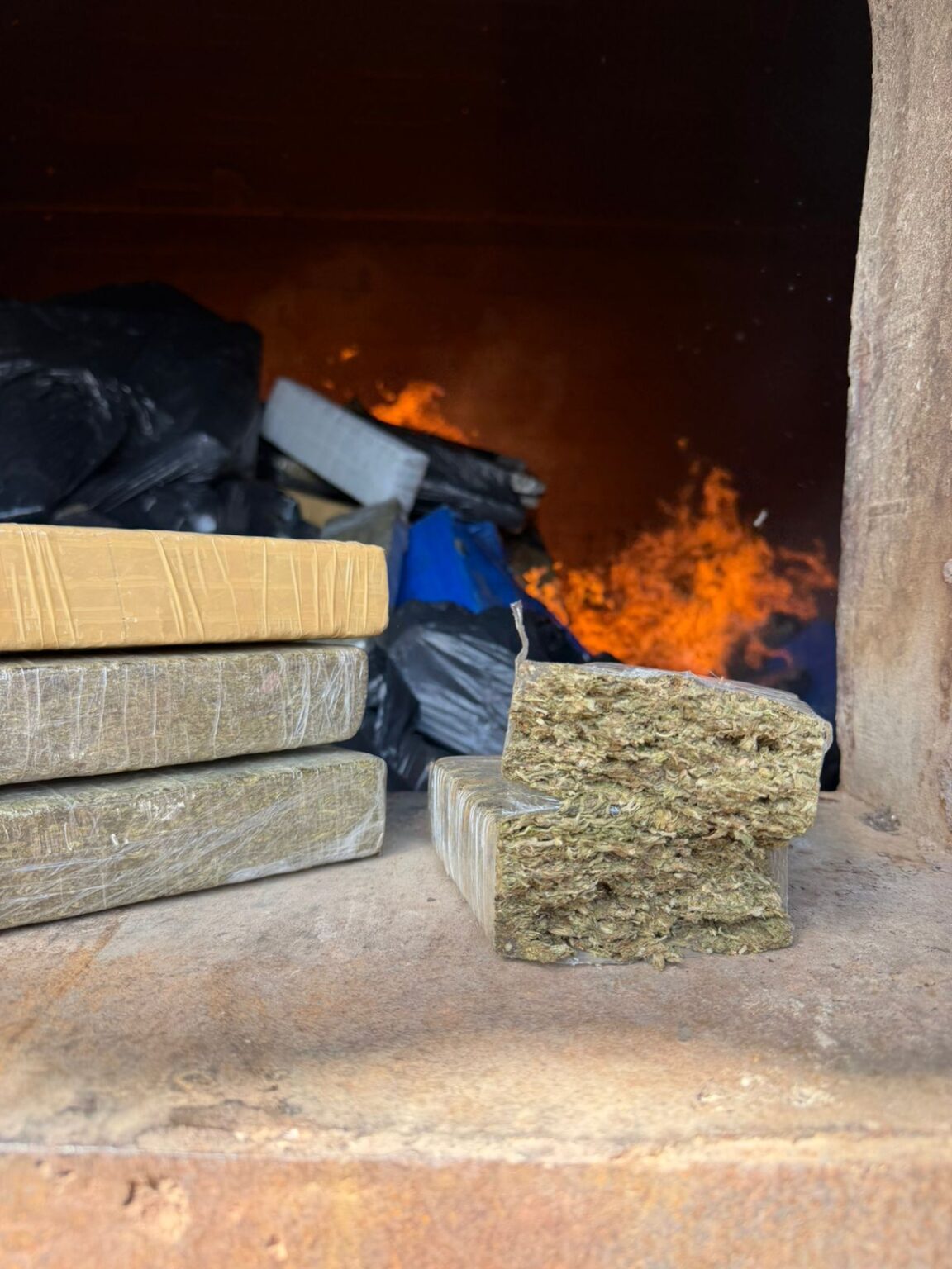 Polícia Civil incinera mais de 1,4 tonelada de drogas apreendidas em Palmeira