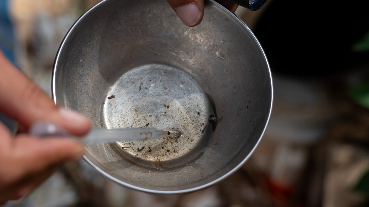 A dengue caiu em Ponta Grossa. Mas o mosquito não sabe disso