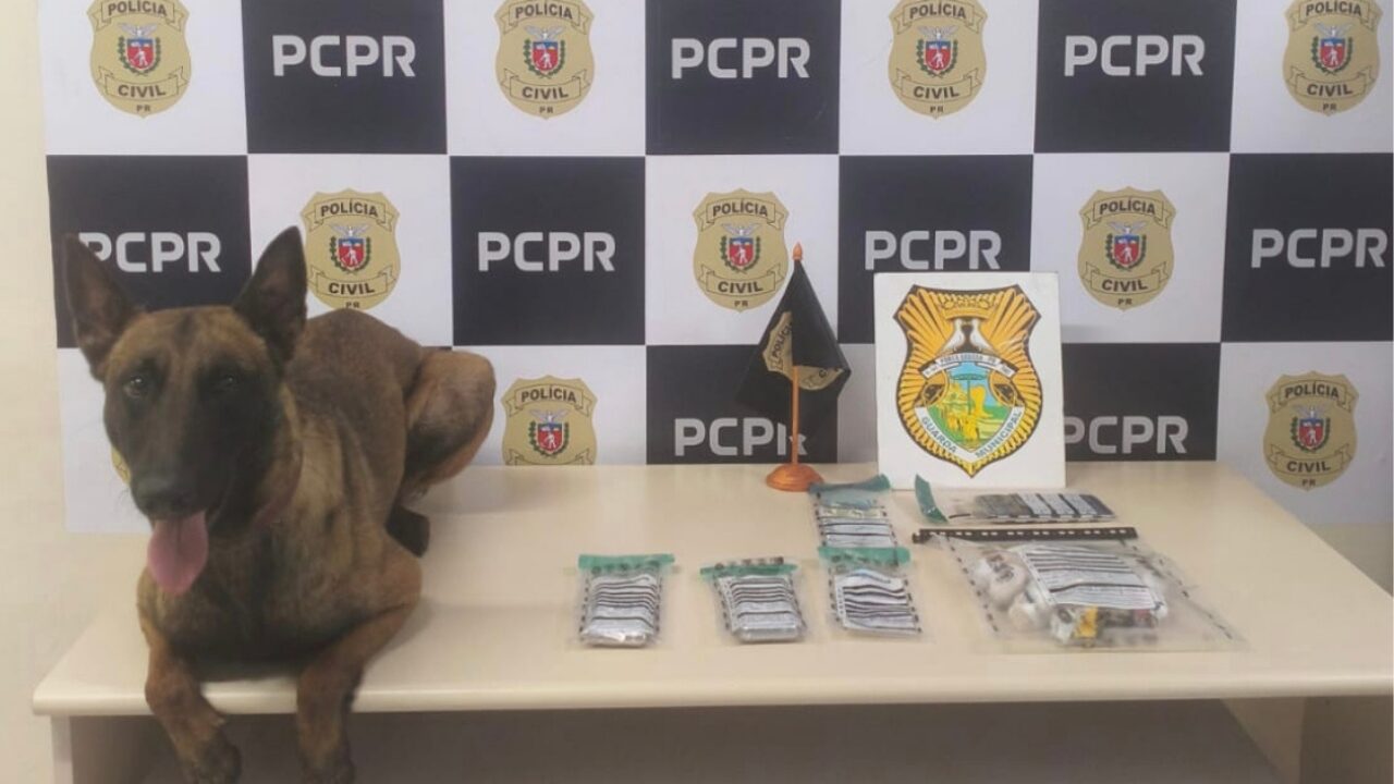 Polícia Civil e GCM apreendem 400 gramas de crack na Vila Estrela