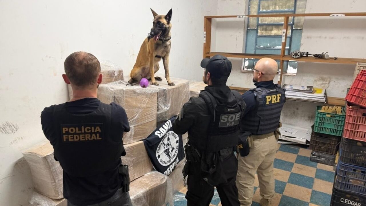 Motorista fica nervoso durante abordagem e é flagrado com quase 1 tonelada de maconha em Guarapuava